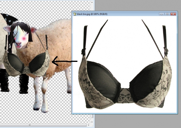 Creation of Pimpin' Wool: Step 30